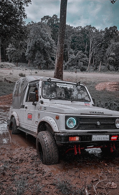 其他球员的 其他球员的