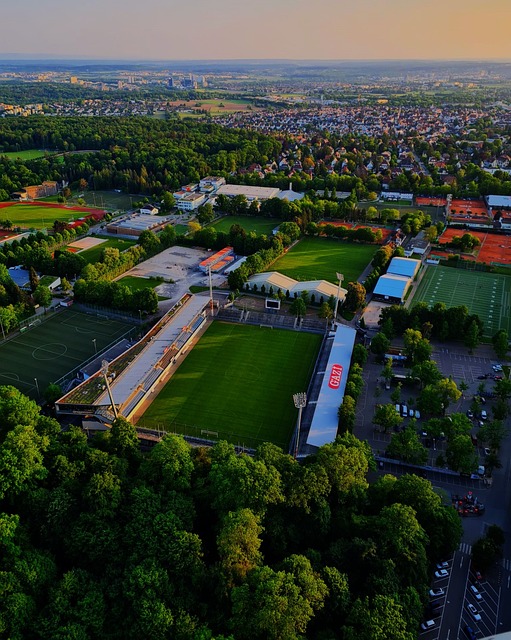 年全英羽毛 年全英羽毛