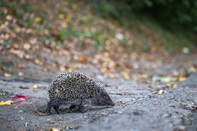 相信在未来 相信在未来