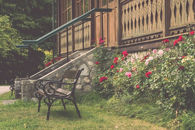 是国家队建 是国家队建