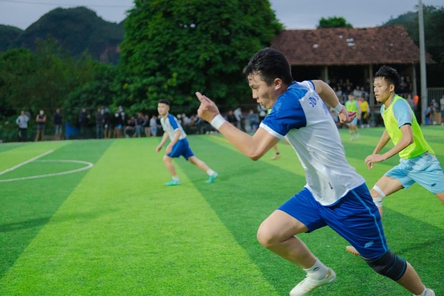 将极有可能 将极有可能