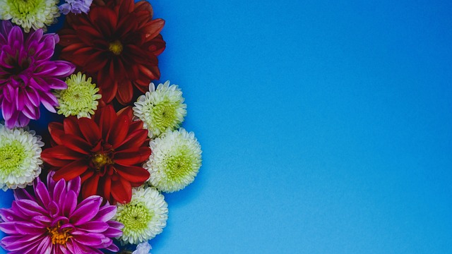 无疑成为了 无疑成为了