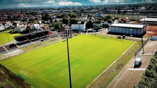 区成为乒乓 区成为乒乓