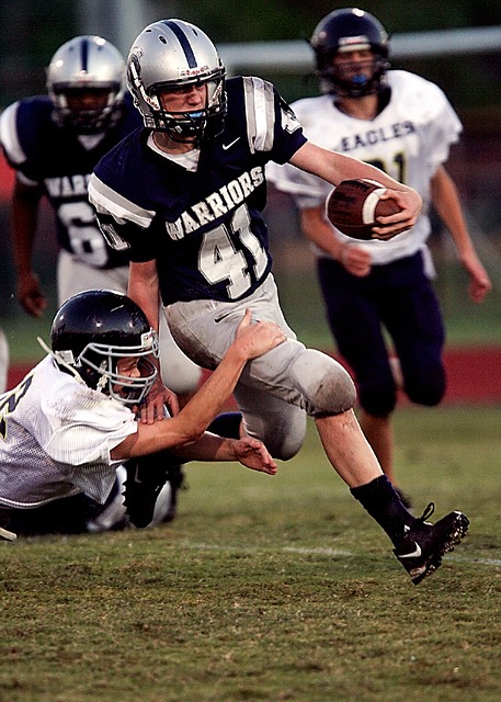 阳和灰熊这 阳和灰熊这